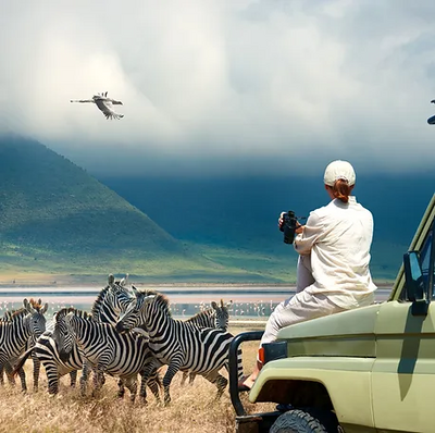 A person sits atop a safari jeep, capturing a photo of zebras and other wildlife on the African savannah under a dramatic sky.