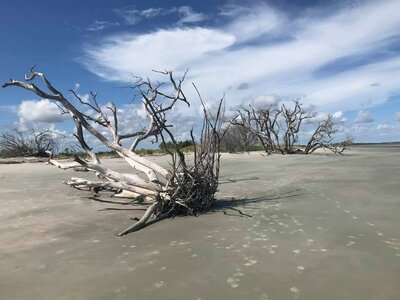 Otter Island