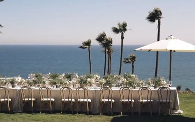 palm trees on beach at california wedding