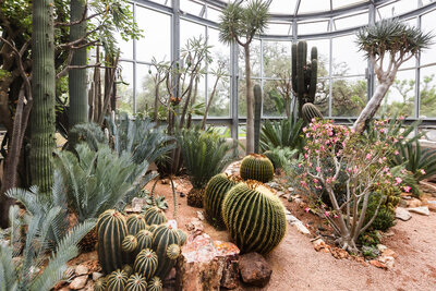 The Greenhouse full of Cactus at the Greenhouse at Driftwood Wedding venue. By Austin Wedding Photographers Joanna & Brett
