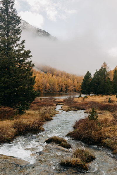 creek1
