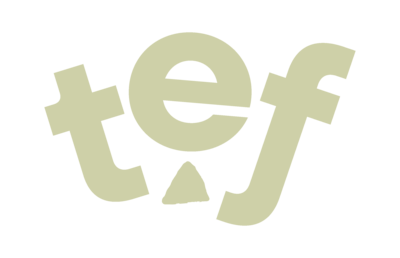 The Extraordinary Foundation submark logo