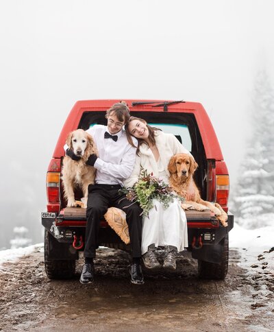 A bride and groom sit on the tailgate of their vintage red Toyota with their two golden retrievers on their mountain wedding day in the winter. 