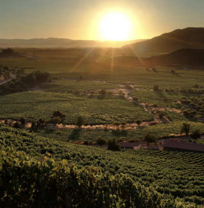wo weeks food wine trip itinerary in argentina and chile