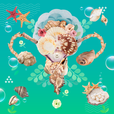 The Child Symbol Series