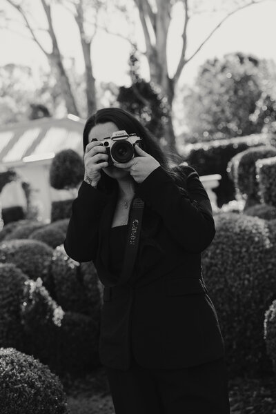 Lauren Wild Creative