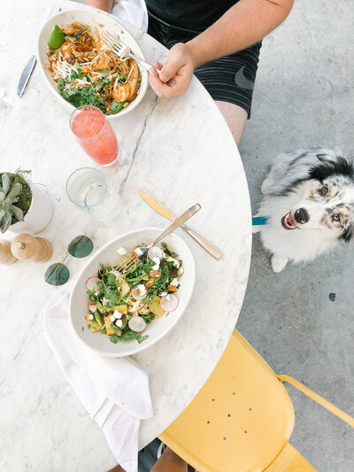 Photo from above of salads and drinks on an outdoor restaurant table with a dog sitting under the table