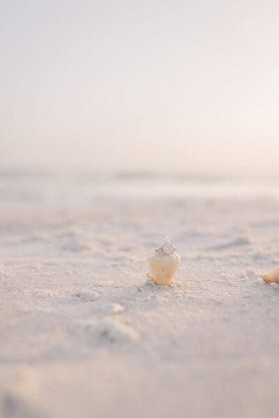 Engagement ring detail photos on Sarasota Beach 