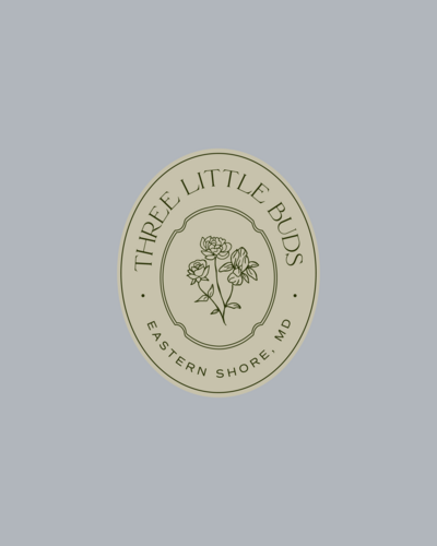 tlb launch graphics-22