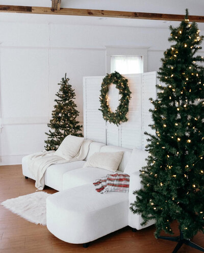 natural light studio with christmas tree setup for holiday mini sessions