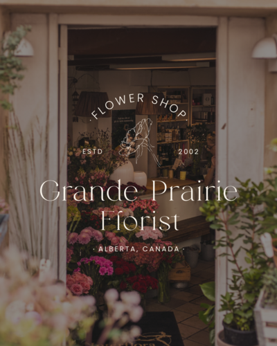 Web Design & branding for female entrepreneurs