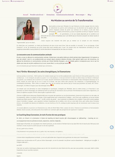 Template showit pour entrepreneur