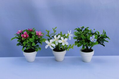 Flowering plant MICRO PREMADE (2)