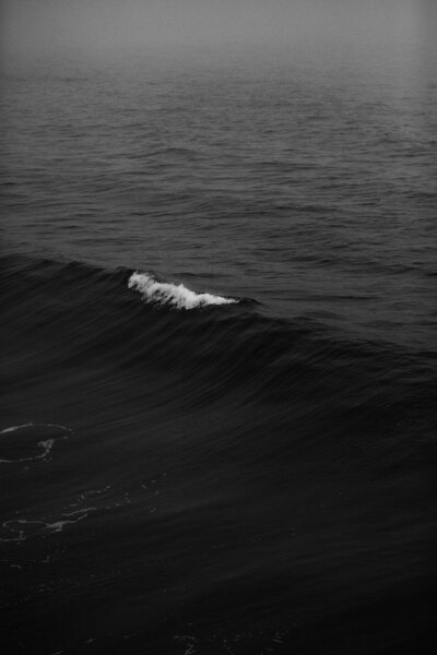 nathan-dumlao-ciO5L8pin8A-unsplash
