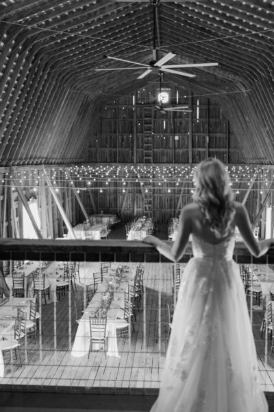 bride overlooking utica wedding venue