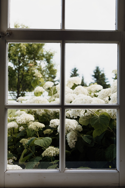 Your go-with-the-flow Minnesota wedding photographer. Real laughs, big love, and true-to-life photos — because forever should feel fun.