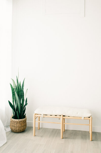 Wooden bench in white studio space