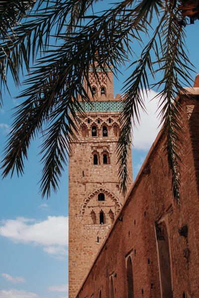 Cathedral seen through palm trees