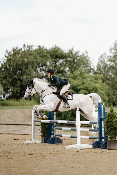 a grey horse with an english rider jumping a blue and white jump at an Ontario Trillium show captured by a equine private client photographer based in Ontario