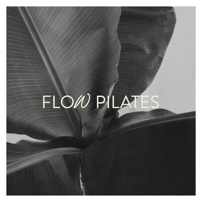 Flow Pilates wordmark logo against stock photography of plant
