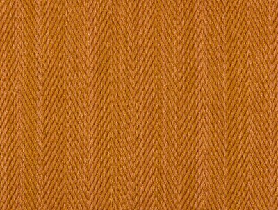 HILSA TIGER_HIL-01_1