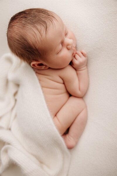 Little newborn baby willow during a newborn photoshoot in auckland