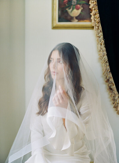 Portrait of a Bride with Veil Photo