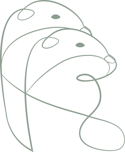 k.s.otter events submark logo