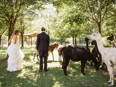 Buttermilk Falls Inn Wedding Venue, Ok Crowe Photography 