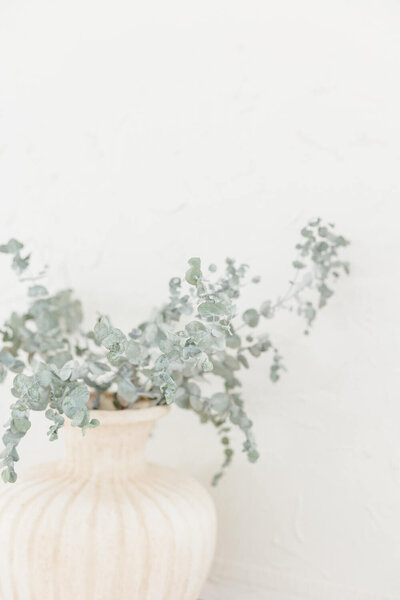 Dried eucalyptus in a boho-style, off-white vase in front of a textured, ivory-colored wall