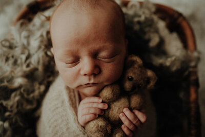 sleeping baby facing towards camera wrapped in blanket holding a teddy bear newborn photographer aberdeen sessions