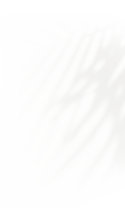palm-shadow-right