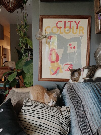 48E824B2-818A-4F7A-A819-665383E5039F