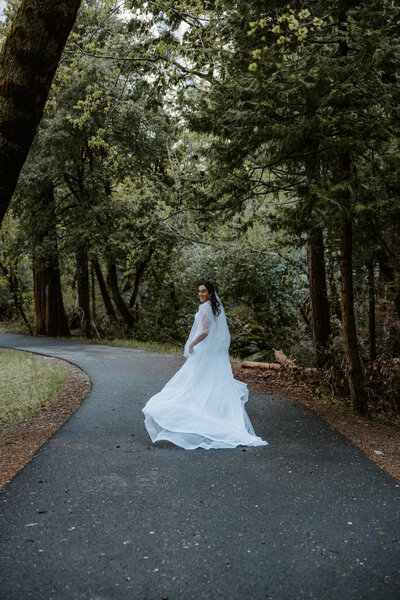 Secluded forest elopement in PNW