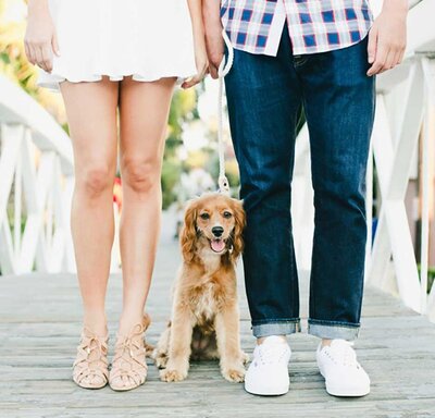 engagement session ideas with pets