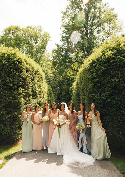 A bridal party standing in the sun around greenery at the wedding venue