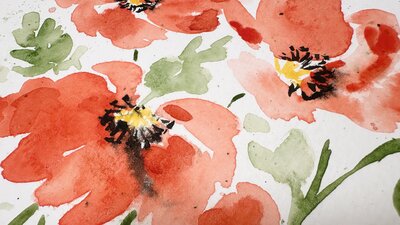 Red watercolor poppy flowers painting with text in the middle