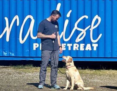 Dog Training Toowoomba