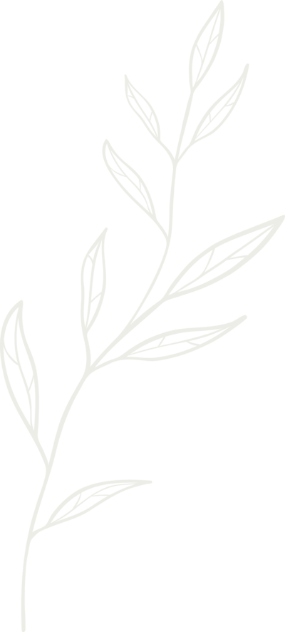 White sprig graphic