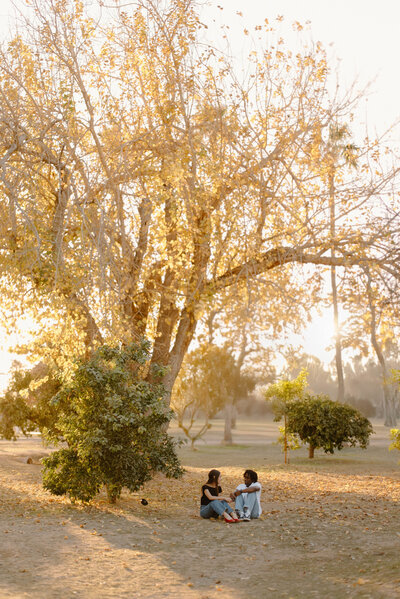 Couple sitting under a tree at Saguaro Ranch Park during golden hour