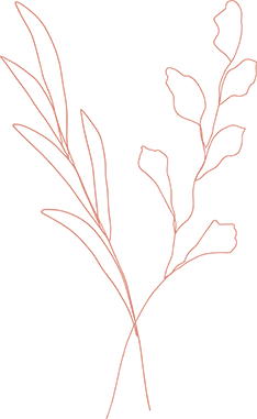 orange line drawing of a flower