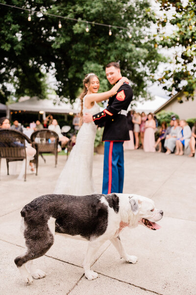 couple laughs during first dance when dog walks into reception at orting manor