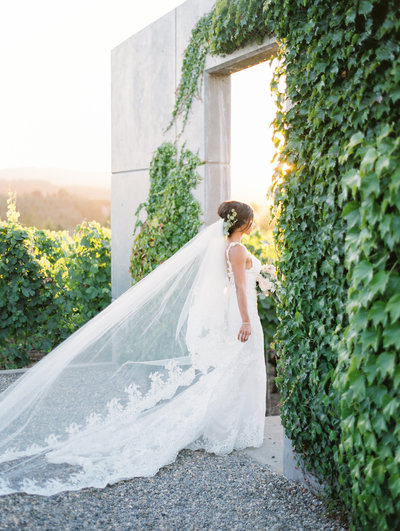 a beautiful bride walking through Ponzi Vineyards at sunset