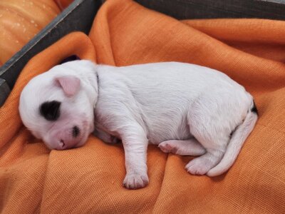 91128822-56c4-431a-8fef-053d11b72113