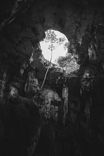 Mexico nature photography