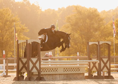 Engagement Session, Wedding Photographer, Equine Photographer, Photographer, Sacramento Photographer