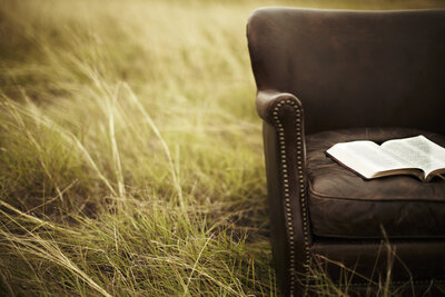 lightstock_ff_01