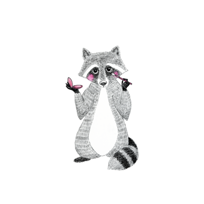 Raccoon_2_PNG