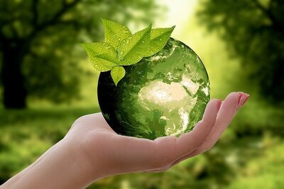 Glass world orb held by a hand with green leaves on top and green background