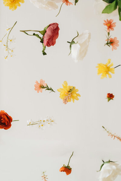 Floating flowers in yellow, red, and white on a clean white background